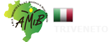 A.Mi.B. O.N.L.U.S. Triveneto