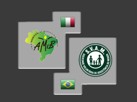 A.Mi.B. O.N.L.U.S. Triveneto